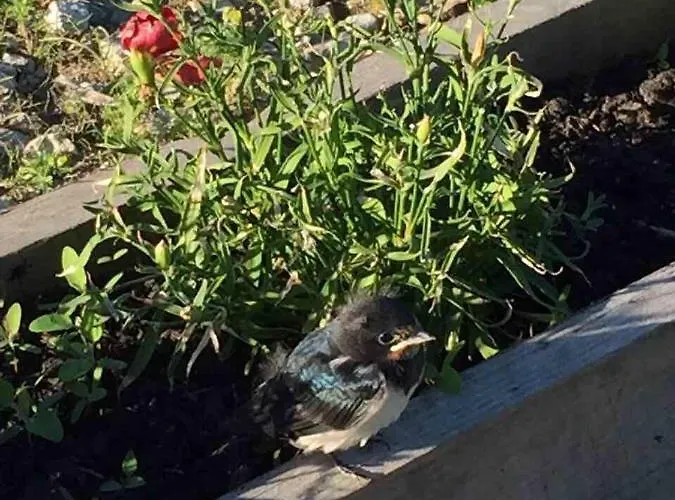 Vaelja Landhuis Pädaste